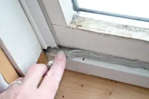 Drafty Windows