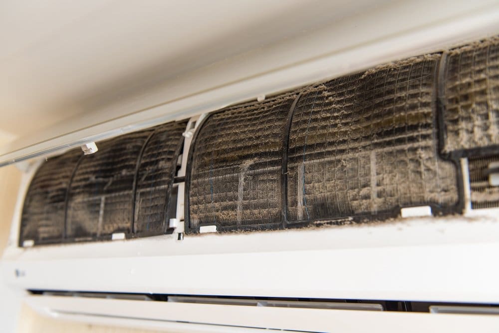 How to Clean Black Mold in Air Conditioner | Day & Night Air Conditioning,  Furnace, & Plumbing