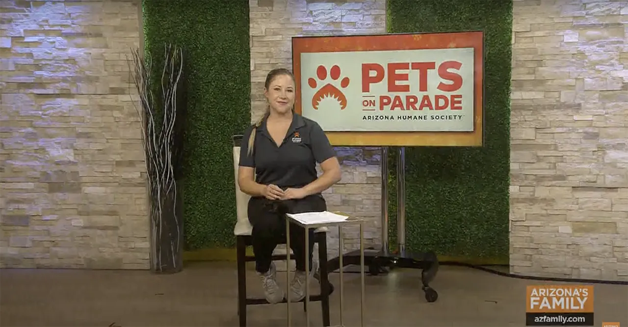 You are currently viewing Pet Safety and Celebrating Pet Heroes