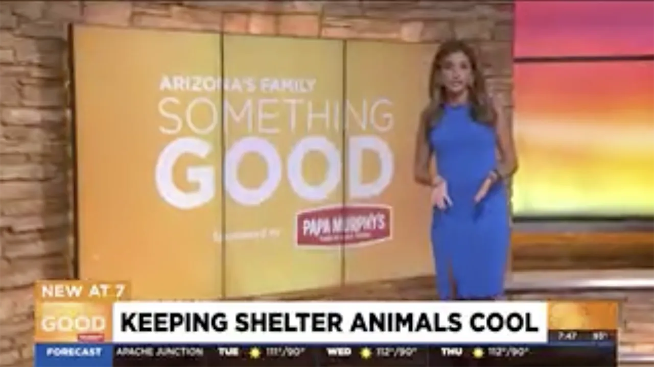 You are currently viewing Animals can cool down thanks to Phoenix company donating A/C unit to Arizona Humane Society